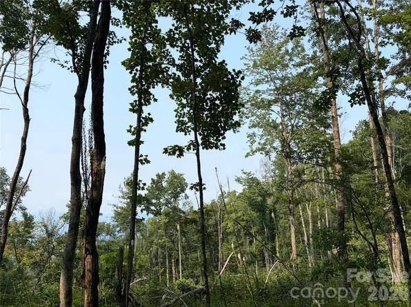 0 Catbrier Ln, Burnsville, NC 28714
