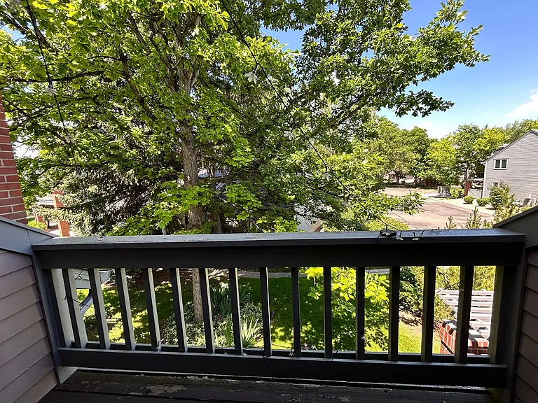 7298 Siena Way — Photo 47
