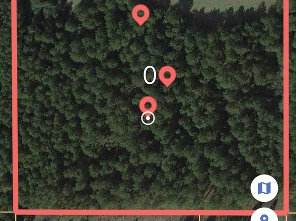 0 Pittman Rd, Mount Olive, MS 39119