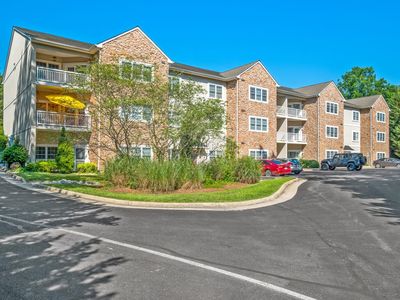 1410 N Coalter St APT 204, Staunton, VA, 24401