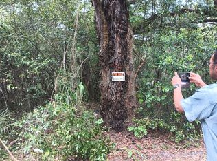 12239 N Ngw Carver Rd, Dunnellon, FL 34434