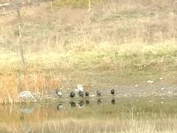 5th image of 3390 F&g Spirit Ridge Way