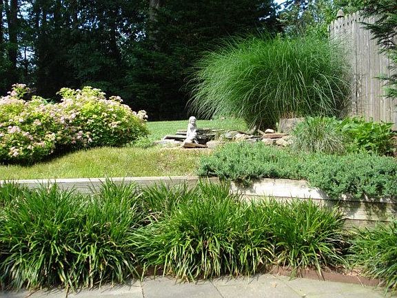 lower patio and pond