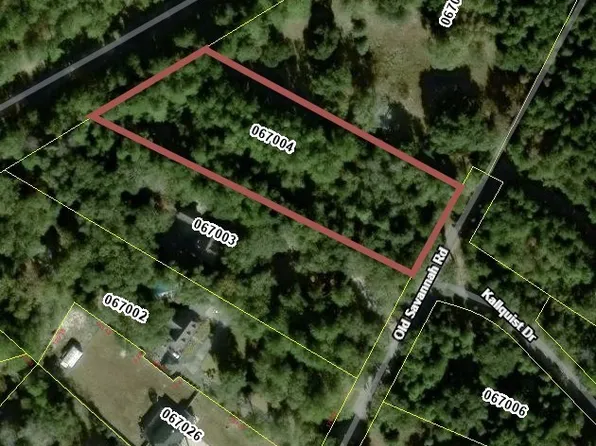 2.62 AC Old Savannah Road, Flemington, GA 31313