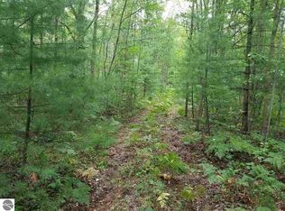 0 S Seeley Rd, Cadillac, MI 49601