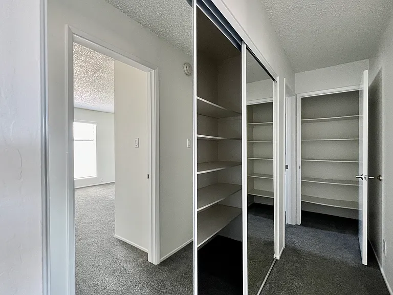 Olive Tree Apartments — Photo 13