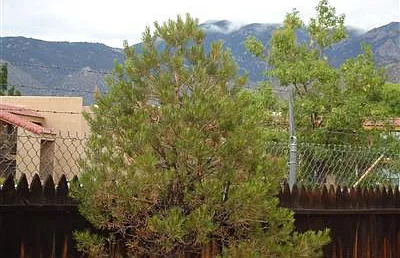 300 Western Skies Dr SE #1 — Photo 3