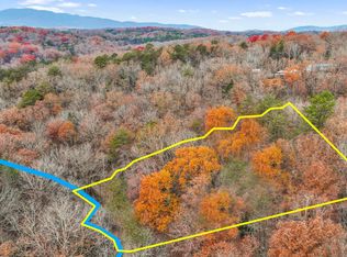 52 Brookhaven Lane #52, Blue Ridge, GA 30513