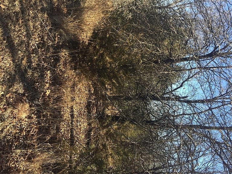 1st image of Timber Lake Dr Lot 2