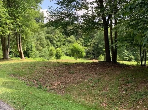 48129 Allegheny Trl, Negley, OH 44441