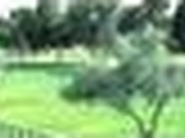 1440 E Laguna Pl, Yuma, AZ 85365
