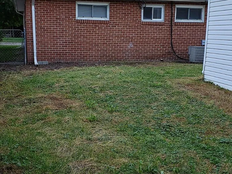 26236 Clancy St — Photo 3
