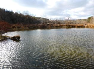 0 Overlook Dr, Oneonta, NY 13820