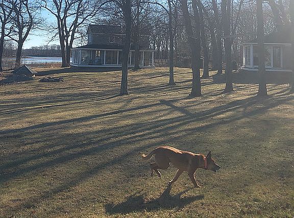 4th image of 28 John Wise Ln