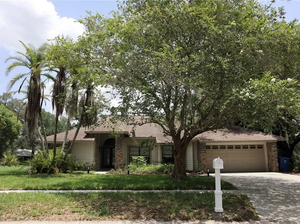 10428 Tara Dr, Riverview, FL 33578
