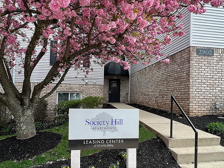 Society Hill — Photo 7