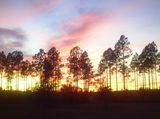 1231 Still Rd, Pierson, FL 32180