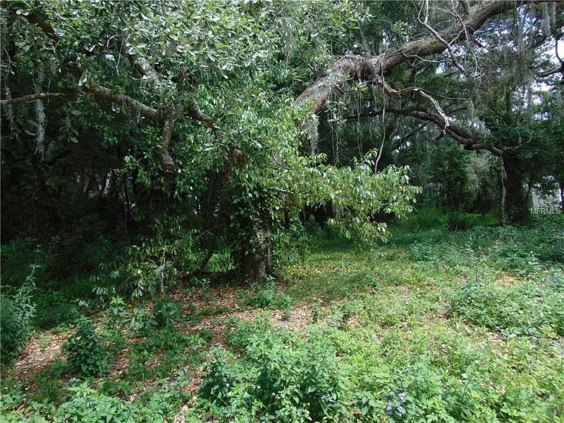 1st image of Fox Squirrel Cir