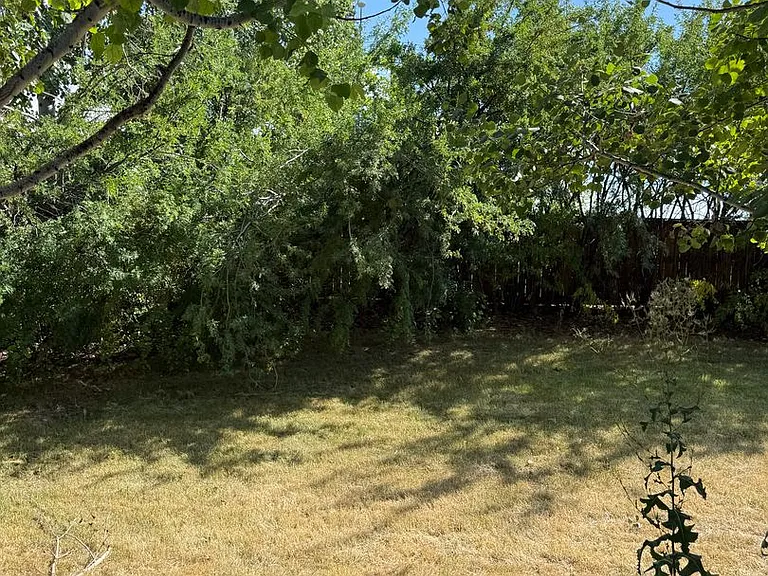 3064 Oliver St — Photo 14