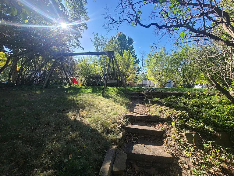 Back yard