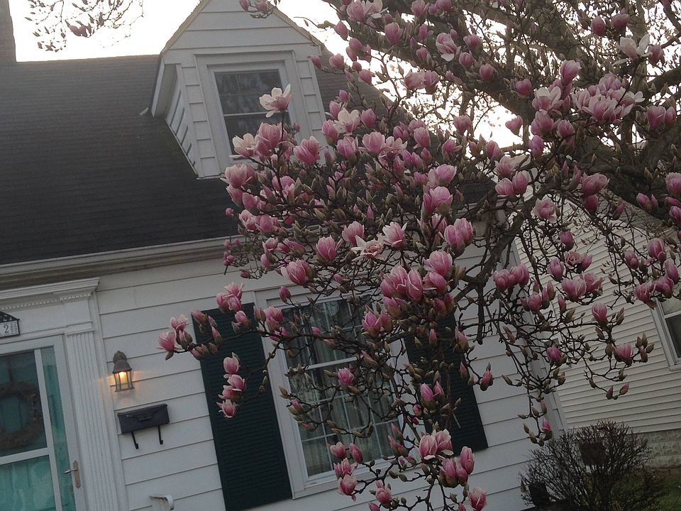 1st image of 312 Carter Blvd