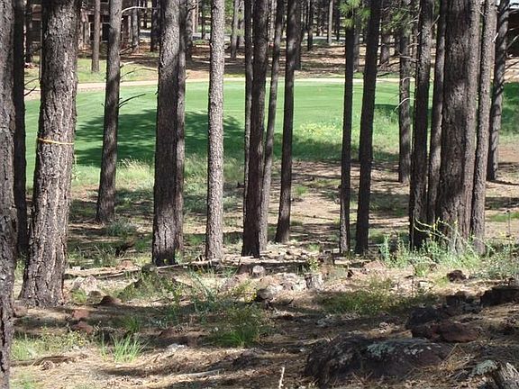5th image of 3730 S Bridle Path