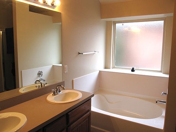 Master Bath Garden Tub