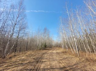 Near Knowles Rd, Winter, WI 54896