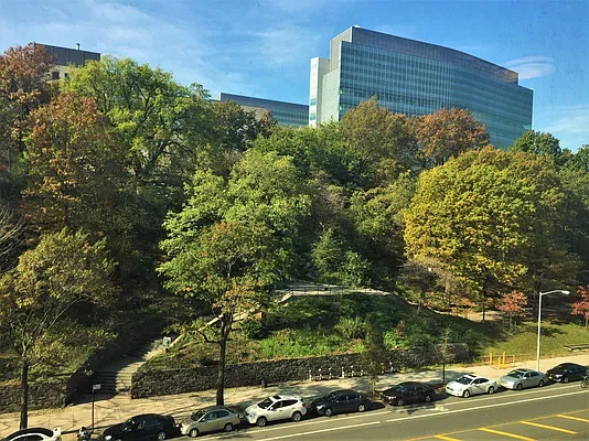 Rented by Bruma Realty LLC | media 16