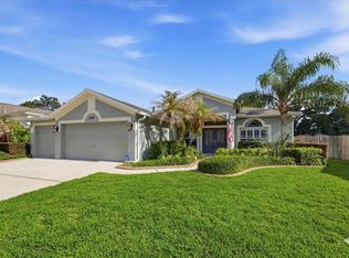 2726 Valencia Grove Dr, Valrico, FL 33596