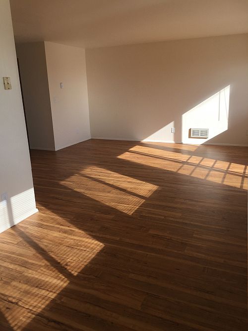 Interior Photo