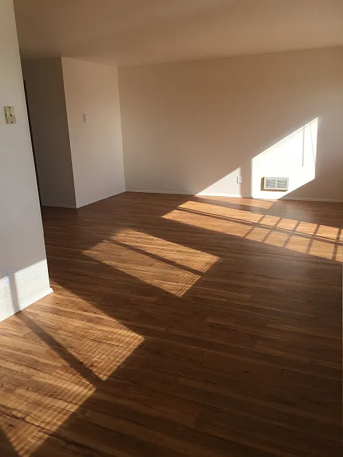 Interior Photo