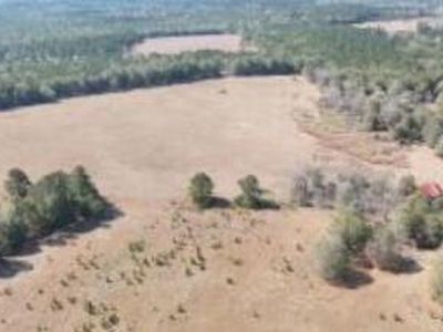 602A State Highway 39, Williston, SC, 29853