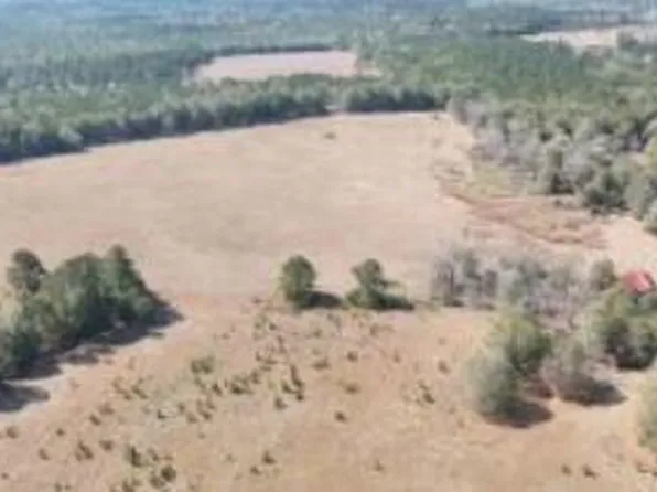 397A Fellowship Rd, Williston, SC 29853