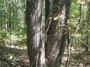 LOT 20 Sherman Dr, Augusta, WV 26704