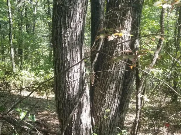 LOT 20 Sherman Dr, Augusta, WV 26704