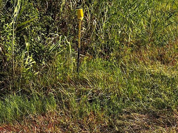 4th image of 0 Burr Ln