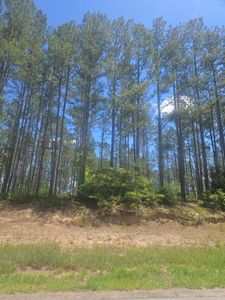 LOT 7 State Highway 123, Mitchell, GA, 30820
