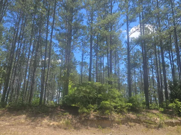 Lot 7 Ga Highway 123, Mitchell, GA 30820