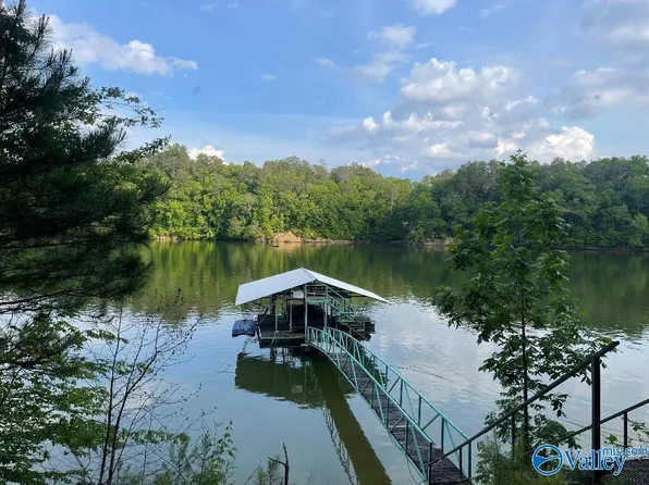 202 & 196 County Road 206, Arley, AL 35541