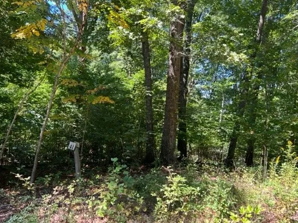 LOT 41 Arbor Ln, Blairsville, GA 30512