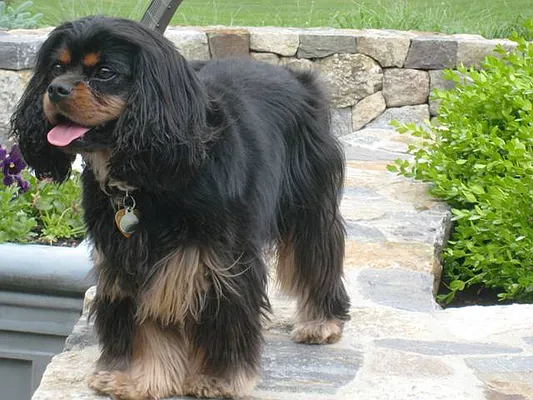 Rented by City Connections Realty | media 6