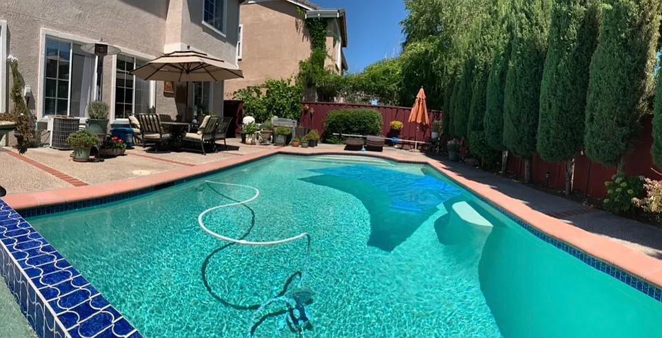 Plumeria Ct