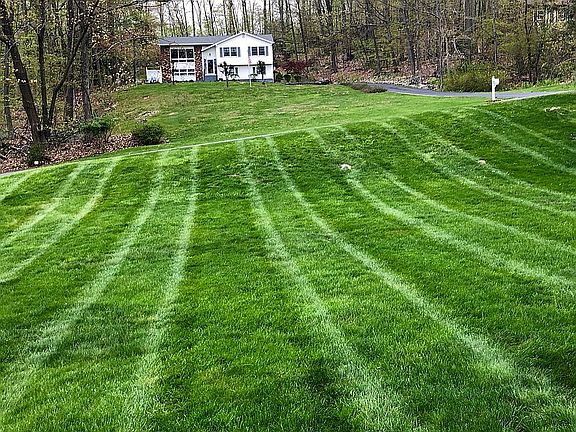 Photo Snapped On Front Porch