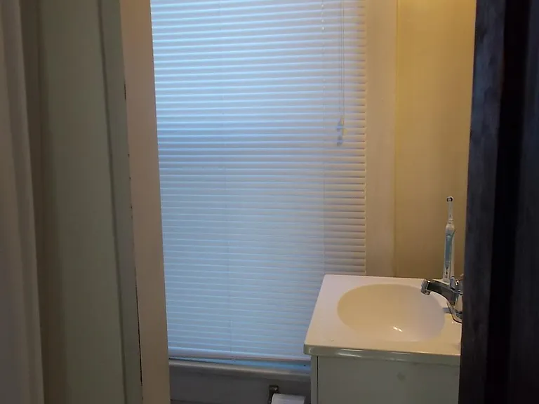 Downstairs bathroom