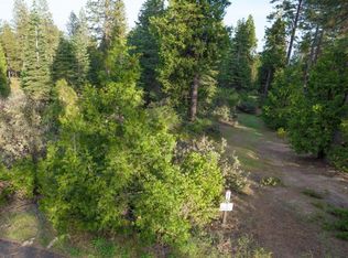 0 Leopard Lilly Ln, Shaver Lake, CA 93664