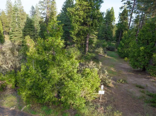 0 Leopard Lilly Ln, Shaver Lake, CA 93664