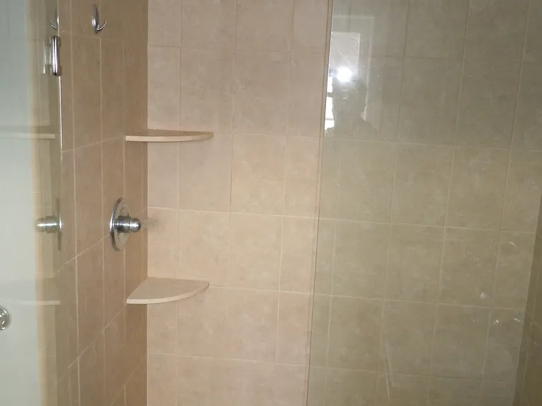 Master Bath Shower