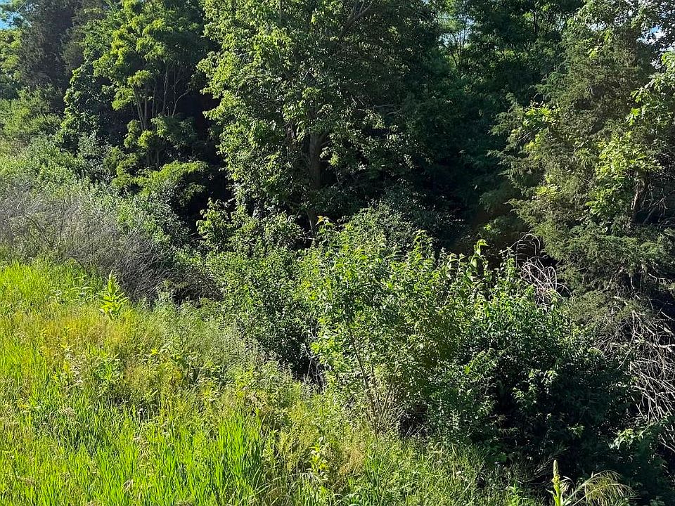28th image of L16-L18 Hillside Dr