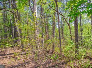 0 Lake Esther Dr Lot 1, Fairburn, GA 30213